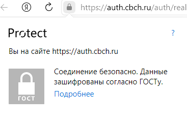 Рис. 7&nbsp;— защищенное подключение в&nbsp;браузере «Yandex»